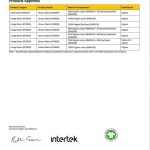 Wholesale Organic Cotton Men’s T-shirts (9)